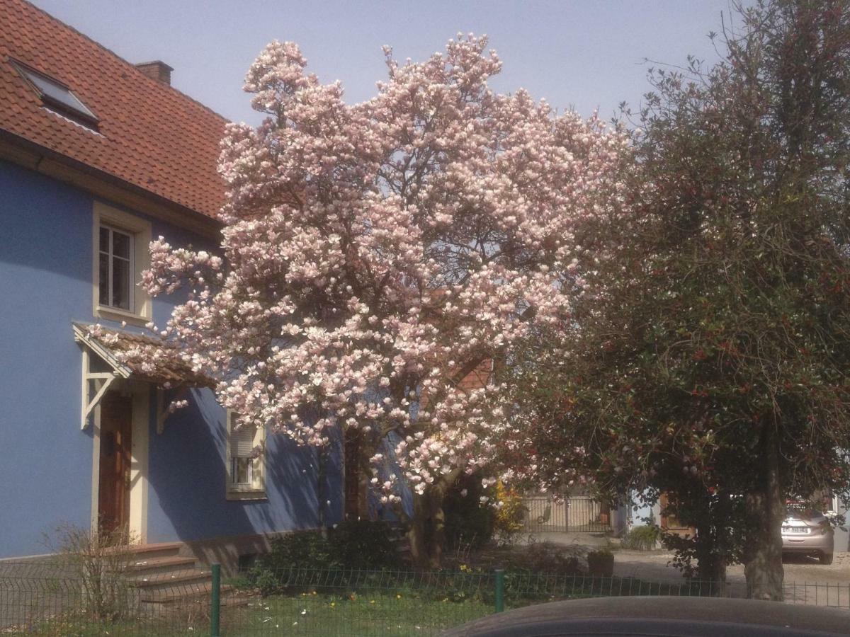 Maison Des Ecluses Strasbourg F3 90M2 Jacuzzi Climatisation Estrasburgo Exterior foto